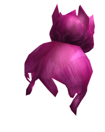 Roblox Girl Hair Roblox Wikia Fandom - roblox pink hair png