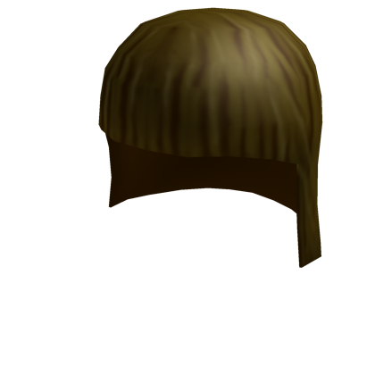 Long Brown Hair Roblox Wikia Fandom Powered By Wikia - roblox brown hair png