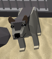 Zoo Simulator Roblox