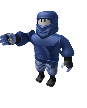 Frozen Fury Of The Bloxian Order Roblox Wikia Fandom