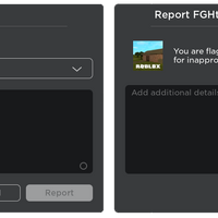 Roblox Hacking Report