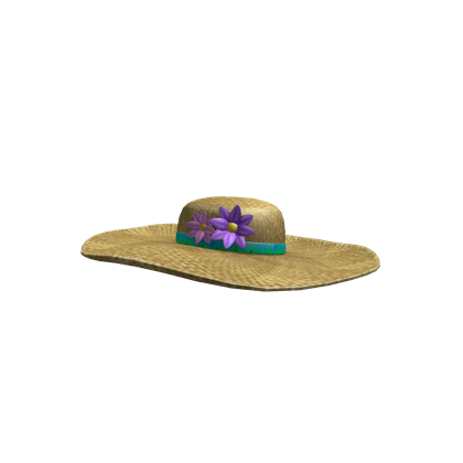 Race Day Hat Roblox Wikia Fandom Powered By Wikia - roblox sun hat