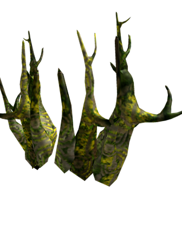 Wanwood Branches Roblox Wikia Fandom