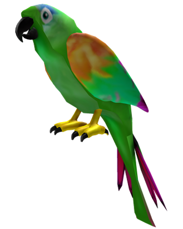 parrot wings roblox free Captain Party Pirate S Attack Parrot Roblox Wikia Fandom