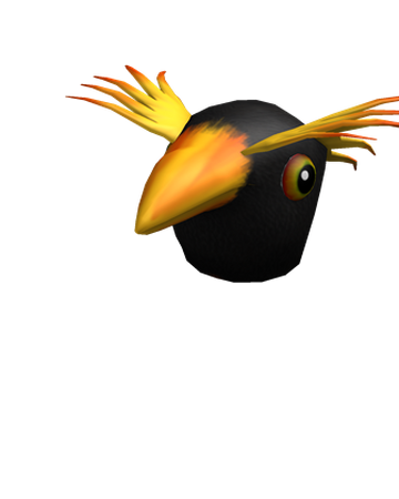 penguin head roblox Macaroni Penguin Roblox Wikia Fandom