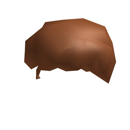 Code For Roblox Brown Hair For Boys