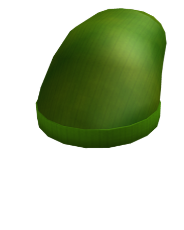 Green Sock Hat Roblox Wikia Fandom