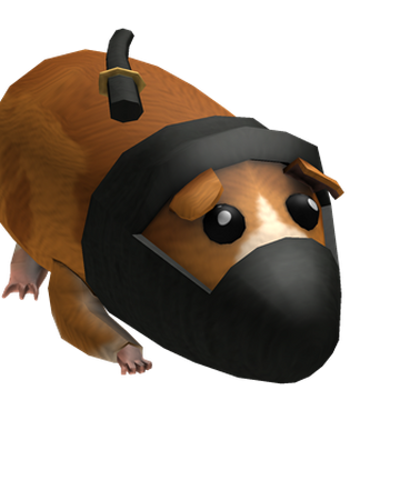 Ninja Guinea Pig Roblox Wikia Fandom
