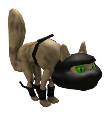Darkage Ninjas Ninja Kitteh Roblox Wikia Fandom