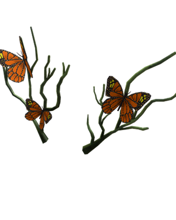 Free Roblox Accessories Butterfly