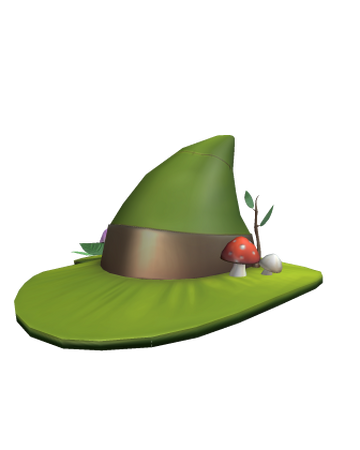 Swamp Wizard Roblox Wikia Fandom