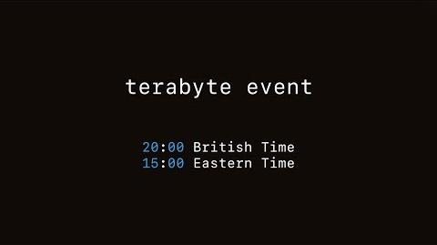 Terabyte Service Roblox Application
