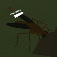 Mosquito Roblox Aincrad Online Wikia Fandom