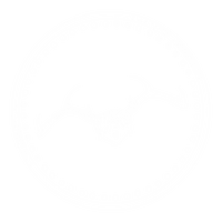 Cryptid Hunt Arsenal Wiki Fandom