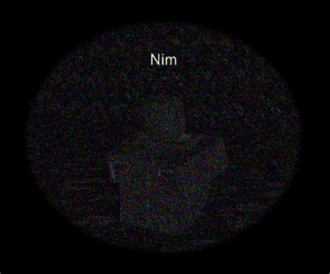 Nim S Place Roblox Creepypasta Wiki Fandom - creepypasta roblox nims