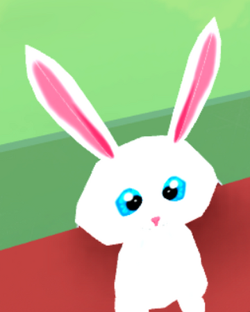 Pictures Of Robloxia In Pets