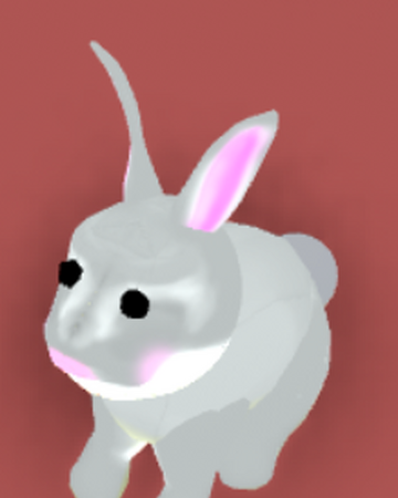 Pets Cute Bunny Robloxia World Wiki Wiki Fandom - pictures of robloxia in pets