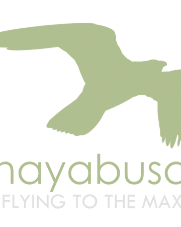 Hayabusa Airlines Robloxian Aviation Wiki Fandom - hayabusa top roblox