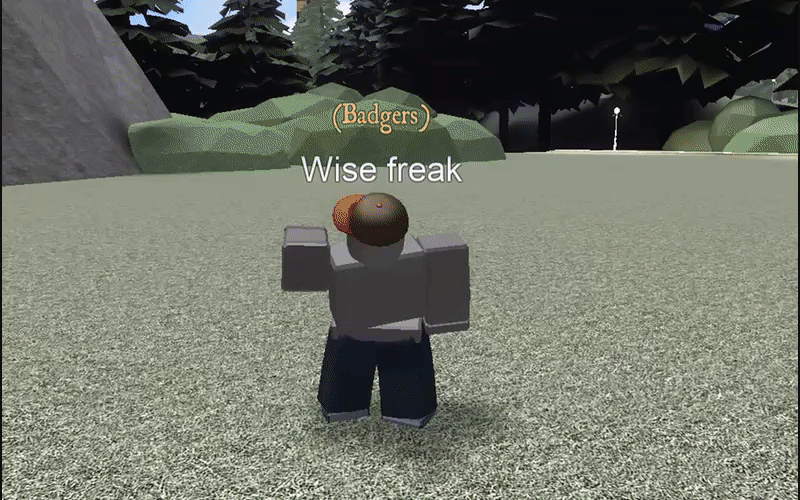 Wizard Life In Roblox