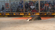 Mouse RoboGames