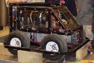 Scarab