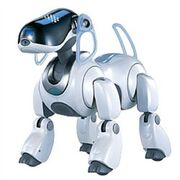 Entertainment robot