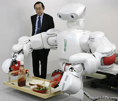 domestic service robots