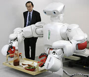 Domestic robot