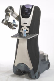 Service robot