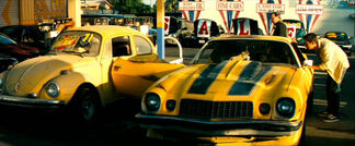 Bumblebee dealership