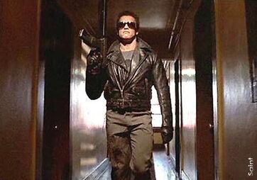 Arnold schwarzenegger terminator-11359