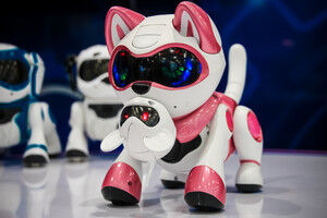 tekno kitty