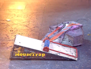 Mousetrap vs little fly