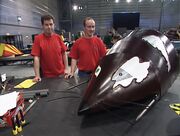 RattusRattusTeam