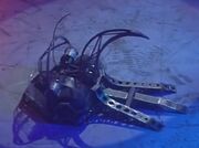 Mantis