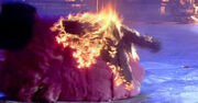 RRD on Fire