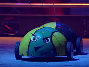 Milly ann bug s3 arena
