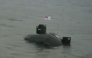 Subversioninwater