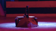 Soldier ant arena