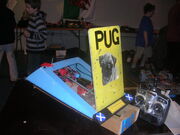 Pug