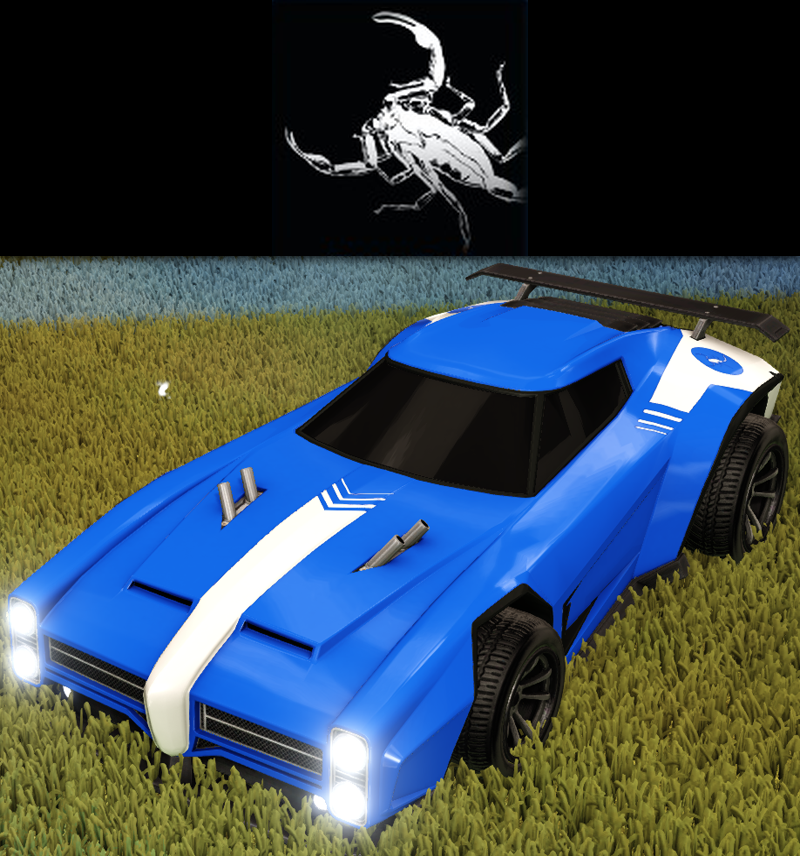 Dominus Rocket League