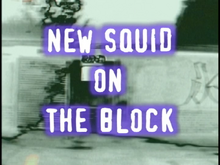 New-squid-on-the-block