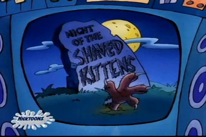 Image result for night of the shaved kittens