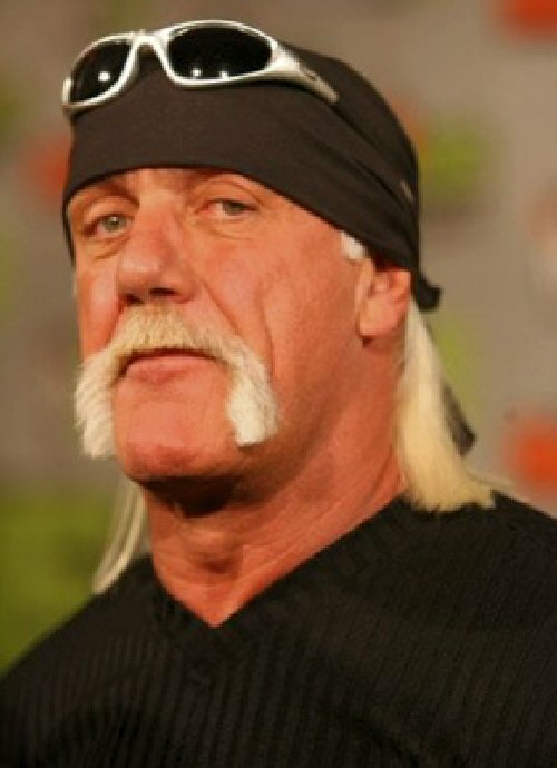 wwe hulk hogan wiki wwe hulk hogan wiki