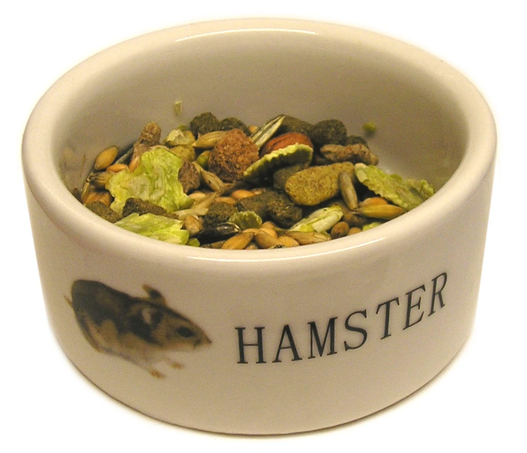 Hamster food Rodent Care Wiki FANDOM powered by Wikia