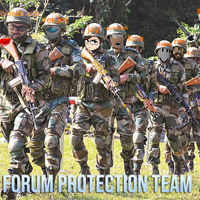 Devforum Protection Team Roblox Discord Wiki Fandom