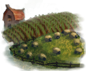 Roe farmland