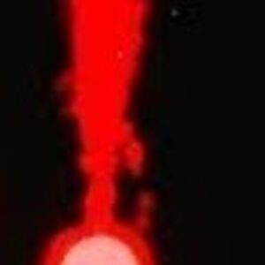 Spells 2 0 Rogue Lineage Wiki Fandom