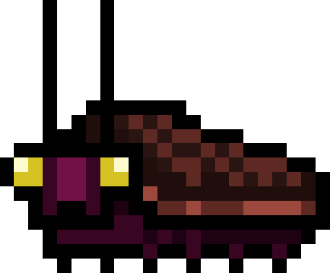 Roach