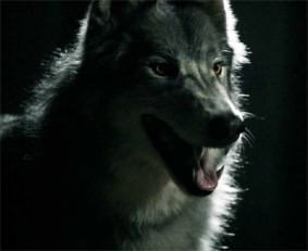 Werewolf283px-WerewolfMason